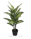 KARE roślina dekoracyjna DIFENBACHIA 100  cm - 2