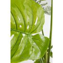 KARE roślina dekoracyjna MONSTERA 110 cm - 5