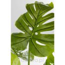 KARE roślina dekoracyjna MONSTERA 110 cm - 6