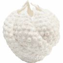 KARE wazon dekoracyjny ANEMONE 26cm       biały - 2