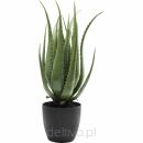 KARE roślina dekoracyjna ALOE 69 cm - 2