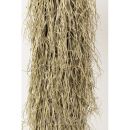 KARE roślina dekoracyjna YUCCA ROSTRATA   240 cm - 4